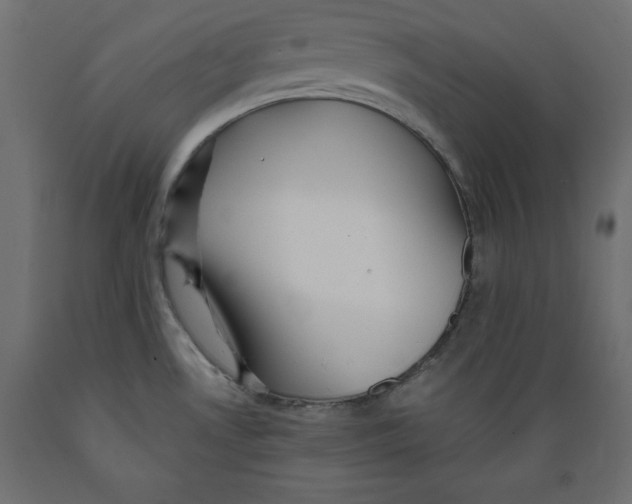 X0000088871530200707061336