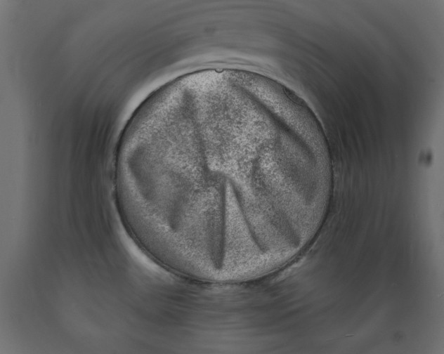 X0000088871531200707061336