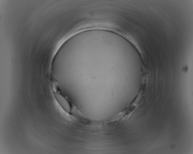 X0000088871532200707061336