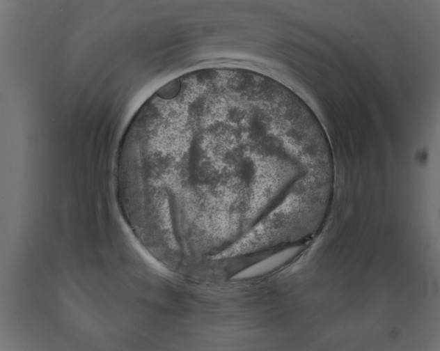 X0000088871533200707061336