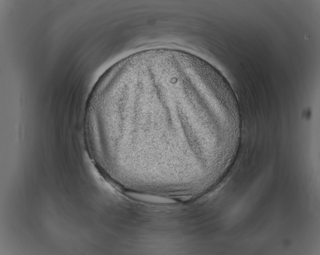 X0000088871534200707061336