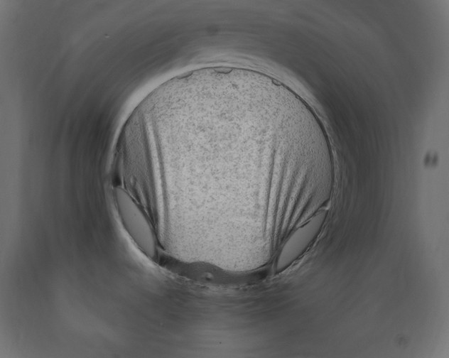 X0000088871536200707061337