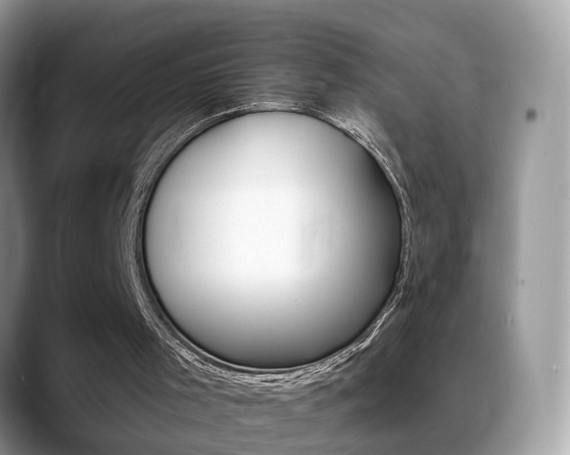 X0000088880001200706080750