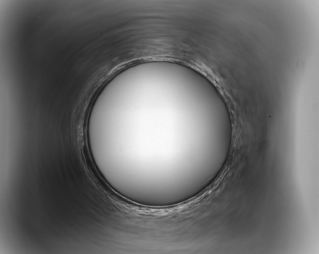 X0000088880002200706080750