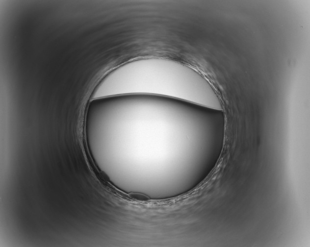 X0000088880003200706080750