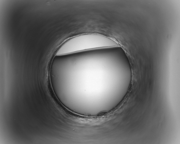 X0000088880005200706080750
