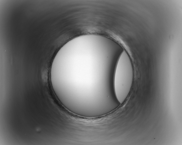 X0000088880010200706080750