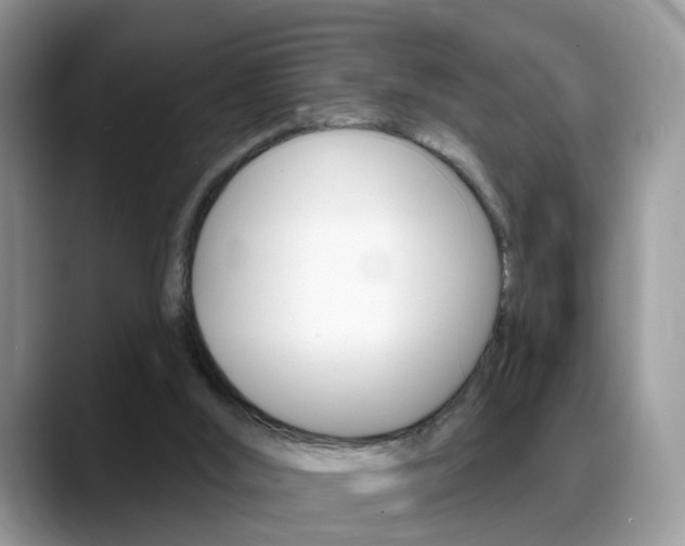 X0000088880012200706080750
