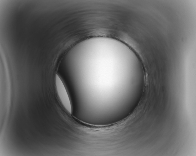 X0000088880013200706080750