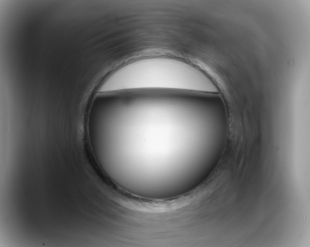 X0000088880015200706080750