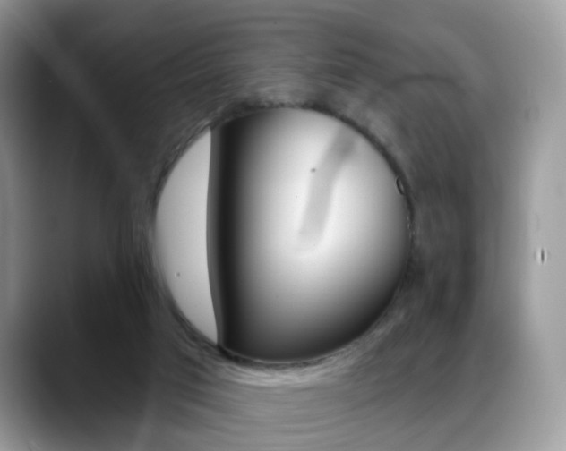 X0000088880017200706080750