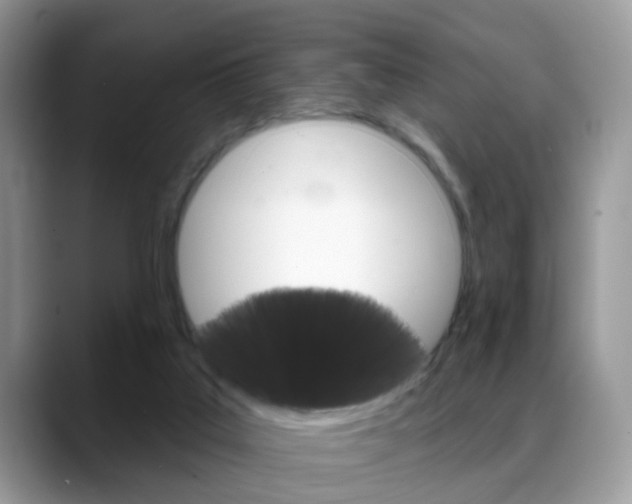 X0000088880019200706080750