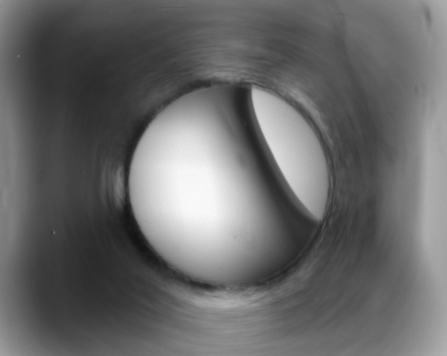 X0000088880020200706080750
