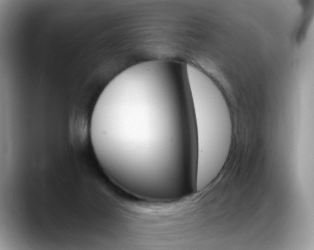 X0000088880021200706080750
