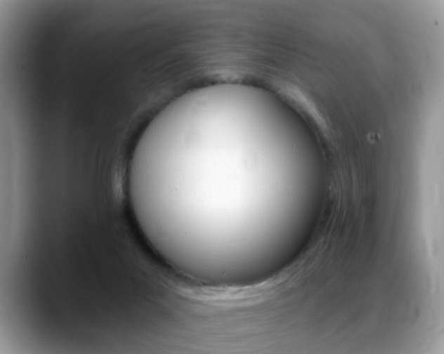 X0000088880023200706080750