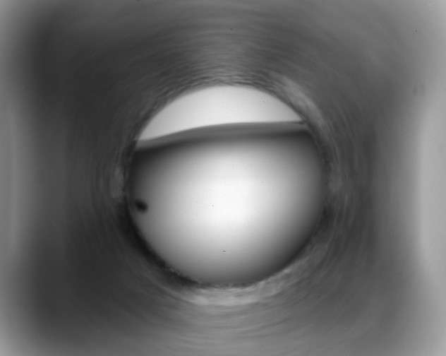 X0000088880025200706080750
