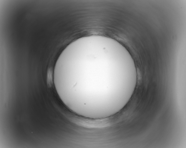 X0000088880028200706080750