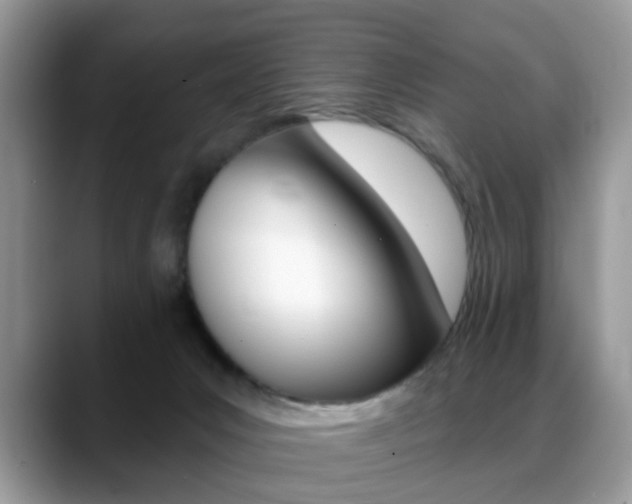 X0000088880031200706080750