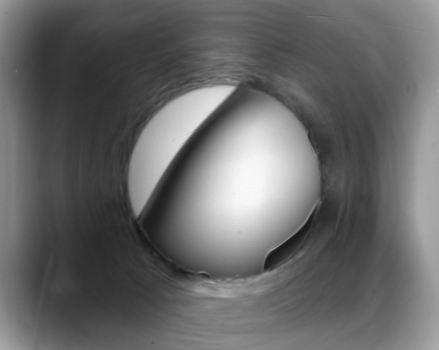 X0000088880033200706080750