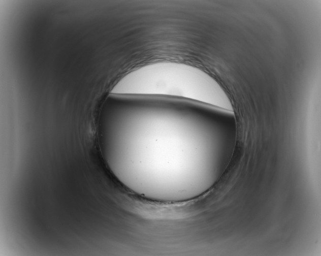 X0000088880040200706080750