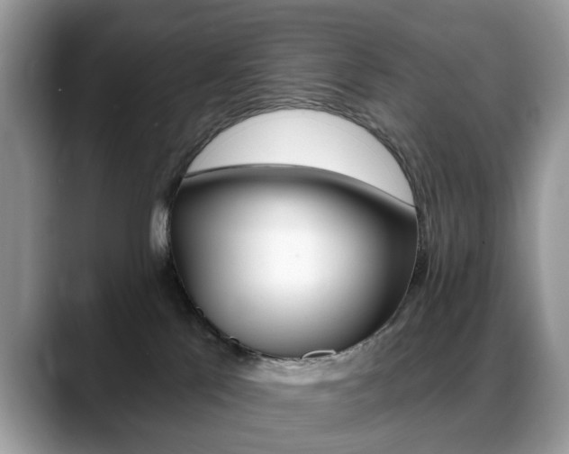 X0000088880041200706080750