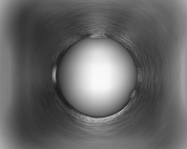 X0000088880047200706080750