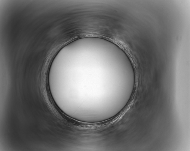X0000088880049200706080749