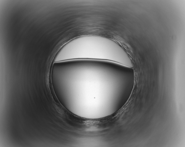 X0000088880051200706080749
