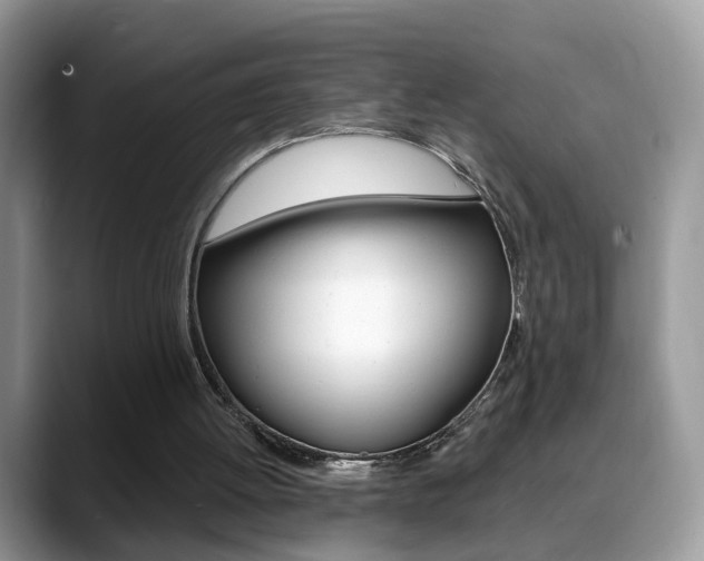 X0000088880052200706080749