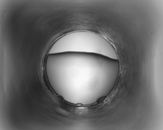 X0000088880053200706080749