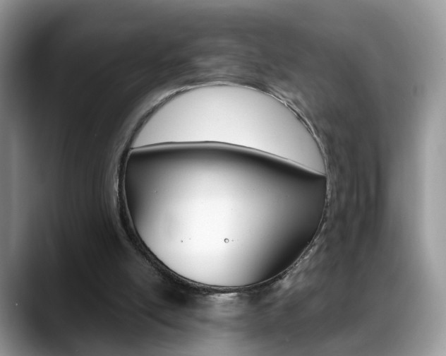 X0000088880054200706080749