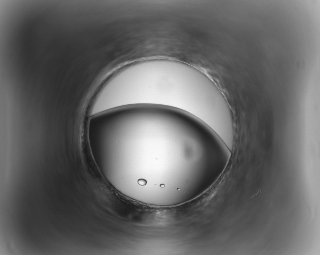 X0000088880056200706080749