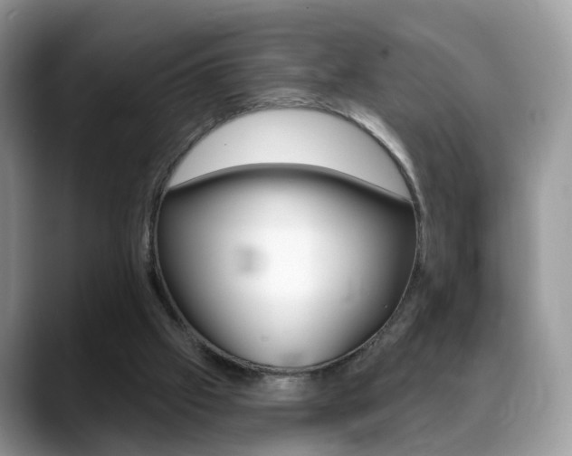 X0000088880057200706080749