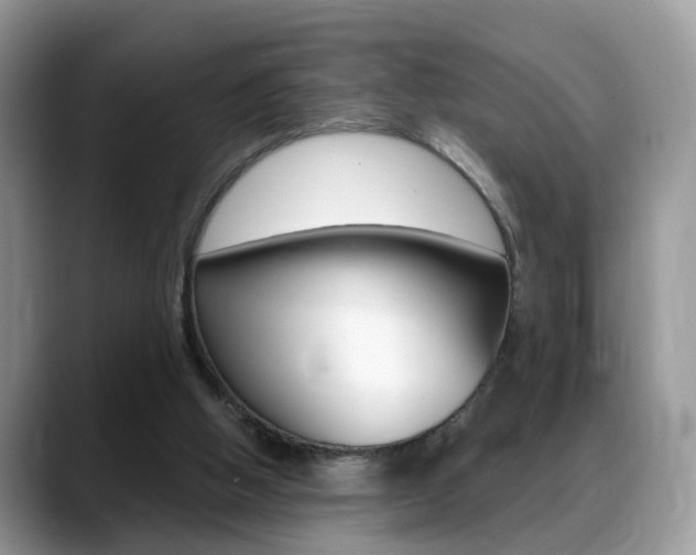 X0000088880058200706080749