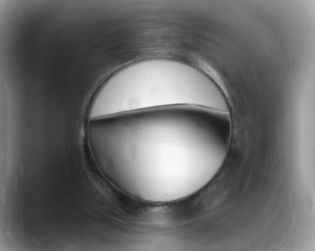 X0000088880059200706080749