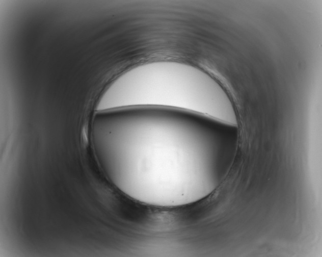 X0000088880062200706080749