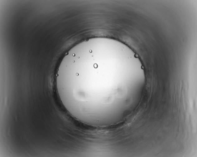 X0000088880063200706080749