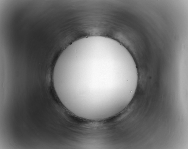 X0000088880065200706080749
