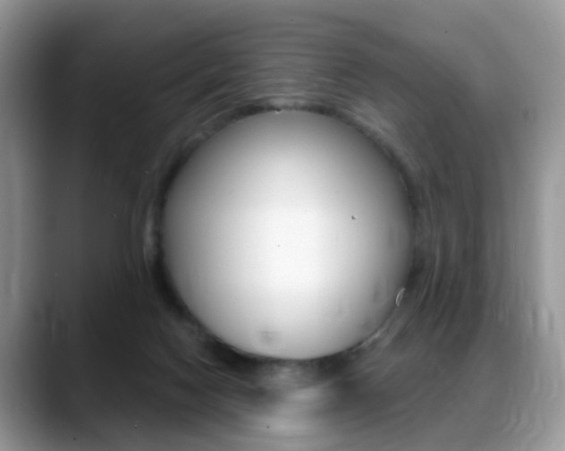 X0000088880074200706080749