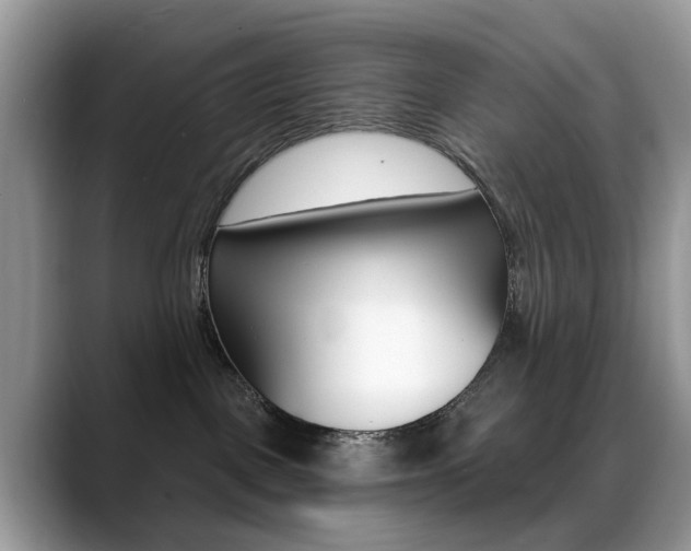 X0000088880093200706080750