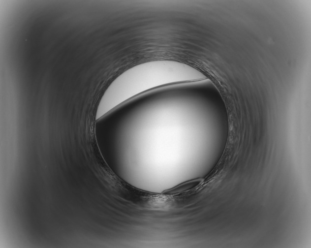 X0000088880096200706080750
