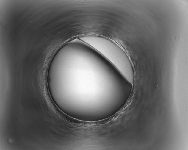 X0000088880097200706080749