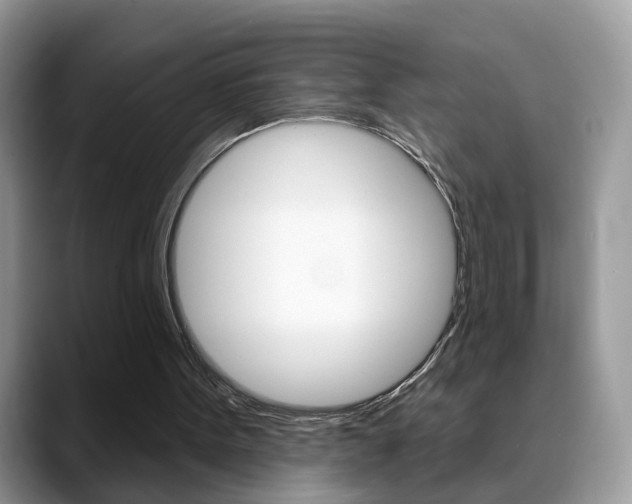 X0000088880099200706080749