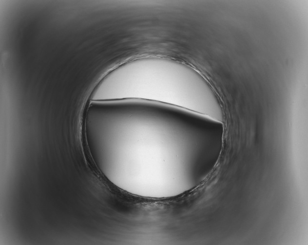 X0000088880100200706080749