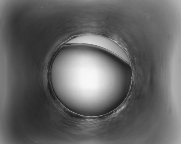 X0000088880101200706080749