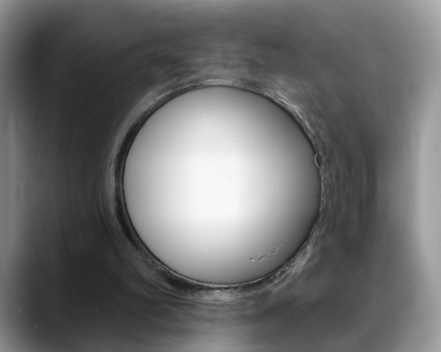 X0000088880102200706080749