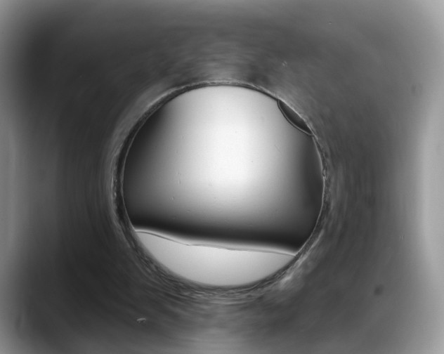 X0000088880103200706080749