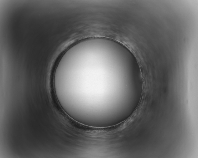 X0000088880104200706080749