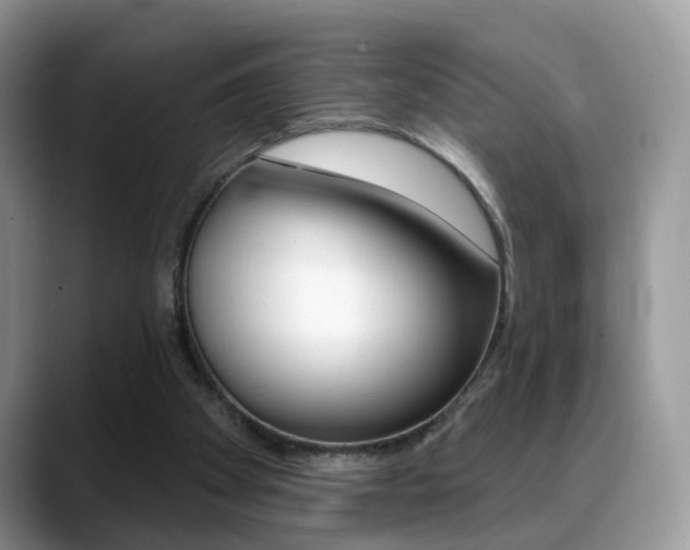 X0000088880105200706080749