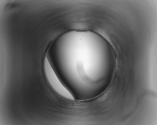 X0000088880109200706080749